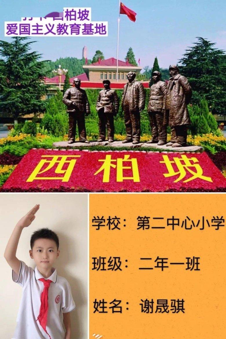 播出后主演都嫌弃的6部烂片，全看过的是个狠人